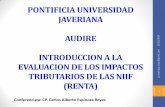 Presentación de PowerPoint - javeriana.edu.co · A PARTIR DE LAS NIIF (Ley 1314/09 y sus regla ... Circular Conjunta Supersociedades / Supervalores No. 006 ... países miembros de