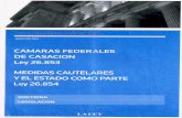 CAMARAS FEDERALES DE CASACION Ley 26.853 …biglieri.org/wp-content/uploads/2016/07/Medidas-cautelares.pdf · Halabi, Ernesto c. P.E.N. Ley 25.873 DTO. 1563/04, 24/02/2009 .Publicado