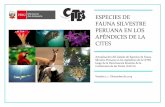 ESPECIES DE FAUNA SILVESTRE PERUANA EN …©ndices-de-la-CITES1.pdf · de modo tal que, la presión sobre las plantas y animales más vulnerables ... que pertenecen a la fauna nativa