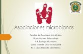 Asociaciones microbianas - core.ac.uk · El curso de Ecología microbiana estudia las relaciones entre los microorganismos y sus ambientes biótico y abiótico. Este curso ... de