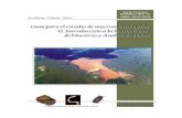 Guía para el estudio de macroinvertebradosaquaticcommons.org/6188/1/12-Maroñas_et_al-Guía_de... · Determinación del tamaño de la ... nos permiten demostrar que los resultados
