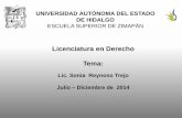 Licenciatura en Derecho Tema - uaeh.edu.mx€¦ · Juventino V. Castro y Castro Interpretaciones y consideraciones jurídicas integrativas uniformes, que hace una autoridad judicial