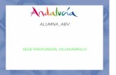 ABV HISTORIA DE ANDALUCÍA · altura, situadas en la depresión del Guadalquivir.