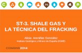 ST-3. SHALE GAS Y LA TÉCNICA DEL FRACKING · Recursos y Reservas de Gas Natural en Europa. ST-3. SHALE GAS Y LA TÉCNICA DEL FRACKING 01. Potencial del shale gas en España 13 Situación