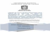 LABORES DE APOYO TÉCNICO PROFESIONAL …repository.udistrital.edu.co/bitstream/11349/5543/1/Pa...“Determinación de los valores de referencia de las Unidades Funcionales Integrales