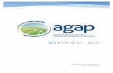 BOLETÍN n°37 - 2016 - Inicio - AGAP - Asociación de … · 2017-01-30 · Una hectárea en Arequipa vale 2.5 veces más que en el norte ... Gobernadores de regiones de Arequipa