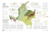 REGIÓN ORINOQUIA - reporte.humboldt.org.coreporte.humboldt.org.co/biodiversidad/assets/docs/2016/3/302/302... · plantas amenazadas El caso de las zamias de Colombia ... Universidad