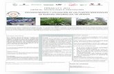 RECONOCIMIENTO Y UTILIZACIÓN DE LAS PLANTAS …master2000.net/recursos/menu/75/1934/mper_arch_19899_plantilla... · plantas medicinales del entorno, para mejorar la calidad ... negra