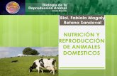 NUTRICIÓN Y REPRODUCCIÓN DE ANIMALES …sgpwe.izt.uam.mx/...y_reproduccion_animales_domesticos_Fabiola_R… · Es de suma importancia mantener a los animales en un estado nutricional