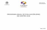 PROGRAMA ANUAL DE EVALUACIÓN (PAE) DE …villahermosa.gob.mx/images/documentos_pdf/PAE2018.pdf · DIRECCIÓN DE PROGRAMACIÓN Programa Anual de Evaluación 2018 Página 6 de 20 3.