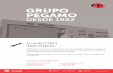 GRUPO PEGAMO€¦ · En Pegamo Suministro Industrial llevamos desde 1982 vendiendo, ... GRUPO PEGAMO DESDE 1982 NON ... tit la qualit et fiabilit de lÕoutil sur lÕensemble des productions.