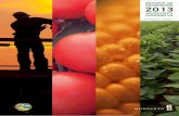 2013 - monsantoglobal.com · 4 Monsanto Latinoamérica Sur | Reporte de Sustentabilidad 2013 MonsoMatna LimMiéL 2 PRIORIZACIÓN paso: ... del mundo y está conformada por cinco países: