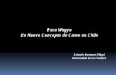 Raza Wagyu Un Nuevo Concepto de Carne en Chile - … · Un Nuevo Concepto de Carne en Chile Rolando Demanet Filippi Universidad de La Frontera. Raza Wagyu. ... regiones de Japón