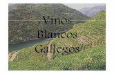 vinos blancos gallegos - … · acedas(granitos). Los suelos de Monfortepredominan las rocas detríticas(gravas y arenas), y en la parte oriental del Valle de Quiroga dominan las