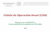 Cédula de Operación Anual (COA) - … · agropecuario, residuos, comercio y servicios Reporte consolidado Reporte por instalación (fuente fija)