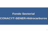 Fondo Sectorial CONACYT-SENER-Hidrocarburos2006-2012.conacyt.gob.mx/fondos/FondosSectoriales/SENER/... · D7/CH2009‐03 Mejorar el sistema de desalado de crudo pesado en las ...