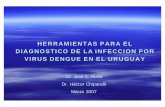 HERRAMIENTAS PARA EL DIAGNOSTICO DE LA INFECCION POR … · DIAGNOSTICO DE LA INFECCION POR VIRUS DENGUE EN EL URUGUAY ... anticuerpos es el proceso en el que ciertas ... – Investigación