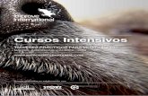Cursos Intensivos - improveinternational.com · de doppler abdominal en los ... experiencia medio en la ecografía de pequeños animales. A lo largo de los dos ... del corazón; Cómo