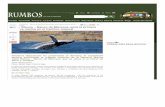 Rumbos de Sol & Piedra | Cabo Blanco – Banco de … · riqueza hidrobiológica que representa el 35% de las especies del mar peruano. ... “Desde el 2011 ... Eco- Purús gana premio