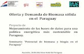 Oferta y Demanda de Biomasa sólida en el Paraguaysilvapar.com/publications/events/2. Evaluacion Biomasa Solida.pdf · Proyecto de Mejoramiento de las bases de datos para una ...