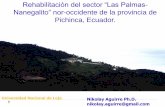 Rehabilitación del sector “Las Palmas Nanegalito” nor ... · Estabilización de los taludes Formación de una cubierta natural protectora temporal en las terrazas, ... Slide