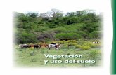 Vegetación y uso del suelo - apps1.semarnat.gob.mxapps1.semarnat.gob.mx/dgeia/informe_resumen/pdf/2_info_resumen.pdf · La deforestación es uno de los problemas ambientales que