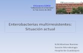 XVCongreso SCMGG Infecciones en el Anciano” 6-7 de … · "Infecciones en el Anciano” ... Impacto en salud pública de la dispersión de EPC en España: ^ aracterización molecular