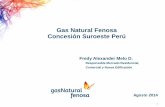 Gas Natural Fenosa Concesión Suroeste Perú · que se fundó la empresa que se convertiría en Gas Natural Fenosa. ... Etapas evolutivas y cronograma ... Centros de formación: convenios