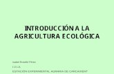 INTRODUCCIÓN A LA AGRICULTURA ECOLÓGICA - … · La agricultura ecológica sigue una tendencia expansiva, que ocupa actualmente unos 35 millones de hectáreas certificadas, menos