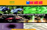 PRODUCCIÓN HORTOFRUTÍCOLA ORGÁNICAstatic.elmercurio.cl/Documentos/Campo/2013/02/11/20130211174432.pdf · potenciar la agricultura orgánica en las ... varios proyectos públicos