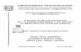 UNIVERSIDAD VERACRUZANA - Repositorio Institucional de …cdigital.uv.mx/bitstream/123456789/38504/1/paolanavarro.pdf · .....1. ..JVITRO. ENRIQUE OCTAVIO MANCERA GARRIDO BIBLIOTECA