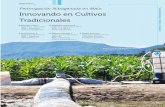 Fertirrigación Nitrogenada en Maíz: Innovando en ...culo-Técnico-2... · 21 Sustentabilidad y Medio Ambiente Fertirrigación Nitrogenada en Maíz: Innovando en Cultivos Tradicionales
