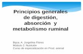 Principios generales de digestión, absorción y … · de digestión, absorción y metabolismo ruminal Bqca. A. Jorgelina Flores Módulo 2: Nutrición ... - Acción biológica (fundamentalmente