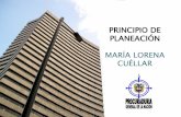 PRINCIPIO DE PLANEACIÓN MARÍA LORENA … DE... · principio de planeaciÓn marÍa lorena cuÉllar principio de planeaciÓn marÍa lorena cuÉllar . es la organizaciÓn lÓgica y