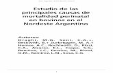 Estudio de las principales causas de mortalidad perinatal ... · 1 Estudio de las principales causas de mortalidad perinatal en bovinos en el Nordeste Argentino Autores: Draghi, M.G.