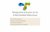 Respuesta Inmune en la Enfermedad Infecciosaacademico.upv.cl/doctos/MEDI-4032/{44267BAB-3ED6-4037-8837... · Respuesta frente a bacterias intracelulares • Tienen mayor importancia