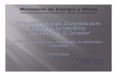 Ministerio de Energía y Minas - oas.orgoas.org/dsd/Energy/Meeting/ElSalvador/Documentos/Magdalena Perez... · Estructura organizativa del sector El Ministerio de Energía y Minas