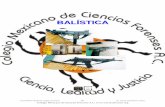 BALÍSTICA - agenciabk.netagenciabk.net/balistica_terminos.pdf · Jus Médica: Medicina Legal y Forense 459 Dr. Jorge Castellanos Sainz