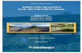 Informe Técnico N° A6716 - repositorio.ingemmet.gob.perepositorio.ingemmet.gob.pe/bitstream/ingemmet/843/...Puerto_Prado.pdf · Informe Técnico N° A6716 1 INSPECCIÓN GEOLÓGICA