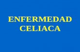 ENFERMEDAD CELIACA - serceliaco.com.ar · El GLUTEN esta presente en los cereales TACC: TRIGO, AVENA, CEBADA Y CENTENO ... • Hermanos Gemelos Riesgo: 1 posibilidad en 2. SÍNTOMAS.