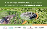 Los pastos mejorados: su rol, usos y contribuciones a …guiagronicaragua.com/wp-content/uploads/2018/03/I-parte-Pasto... · 4.1 Bancos forrajeros ... climático y en la generación