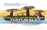 Prefacio por Lord Nicholas Stern - portals.iucn.org · la amplia gama de beneficios sociales y medioambientales ofrecidos por las áreas protegidas. Para dar respuesta a esta ...
