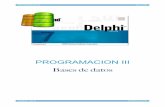 PROGRAMACION III Bases de datos · Hablamos de Delphi. Delphi fue el lenguaje para profesionales de sistemas mejor integrado de la era WIN32 y ... características OOP del lenguaje.