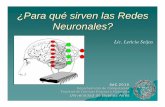 ¿Para qué sirven las Redes Neuronales? - dc.uba.ar · Redes Neuronales Artificiales Perceptrón multicapa Mapa Auto-organizado de Kohonen (SOM) hh ENTRADA SOM • Paradigma computacional