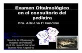 Examen Oftalmológico en el consultorio del pediatra di t · terminales de neuronas geniculocorticales del ojo amblíope están contraídas, con pérdida de conexiones sinápticasconexiones