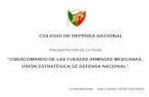 COLEGIO DE DEFENSA NACIONAL - APPA MX - Inicioappa.inai.org.mx/images/doc/Juan_Carlos_Vera_Salinas.pdf · 2016-12-06 · especializado en ciberguerra para el apoyo a las operaciones