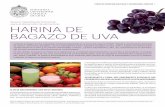 HARINA DE BAGAZO DE UVA - PAM-Chile · HARINA DE BAGAZO DE UVA ... pescado y carnes blancas, cereales y leguminosas, frutas y verduras, lácteos ... galletas con HBU tinta y blanca,