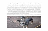 La Terapia Floral aplicada a los animalesterapiafloralsolidaria.com/Terapia_en_animales.pdf · casos, para modificar una conducta anómala, son imprescindibles, además de las esencias