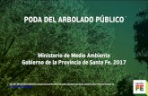 PODA DEL ARBOLADO PÚBLICO - santafe.gov.ar · PODA DEL ARBOLADO PÚBLICO ... “poda ”la sección de ... •Necesidades de sitio, adecuando el árbol al medio urbano donde se desarrolla
