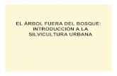 Introducci.n a la Silvicultura Urbana 2013aulavirtual.agro.unlp.edu.ar/pluginfile.php/9799/mod_resource... · planes de manejo del arbolado urbano. Inserción en ... relacionan con